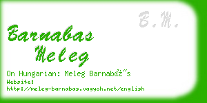 barnabas meleg business card